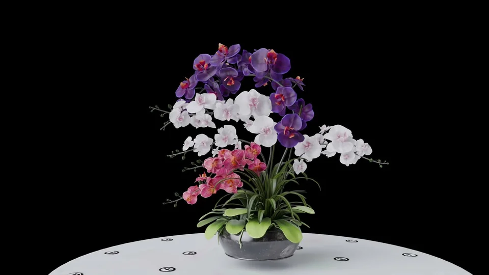 Orchid arrangement scene from the community gallery