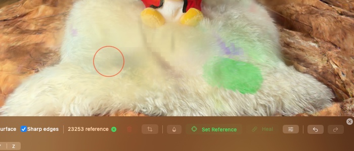 The same area after healing — the color tone of the treated spot is now closer to its surroundings, structure and pattern of the fur are unchanged