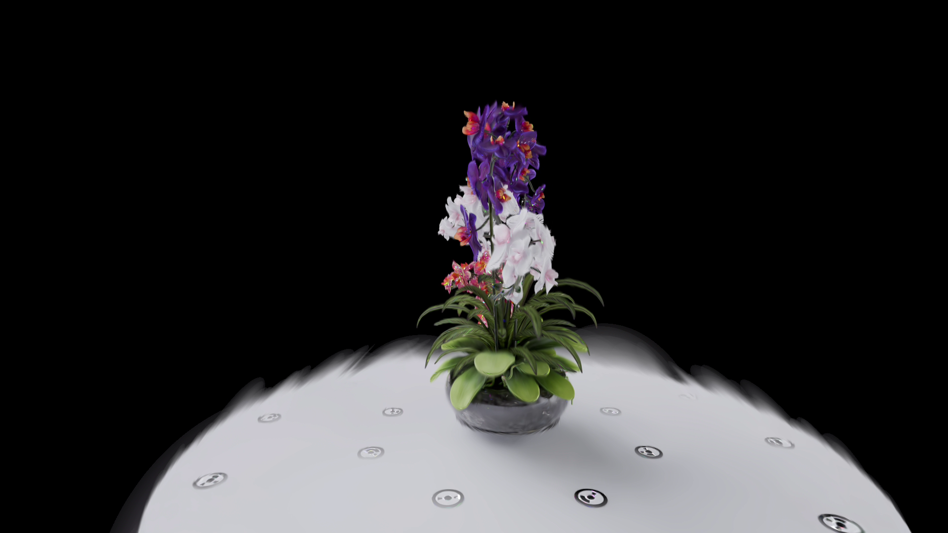 Single frame extracted from flowers-01.mp4 — Bjoern's bouquet in profile render, white platform with camera markers visible, black background — typical orbit camera-path frame approx. 5s into the video run