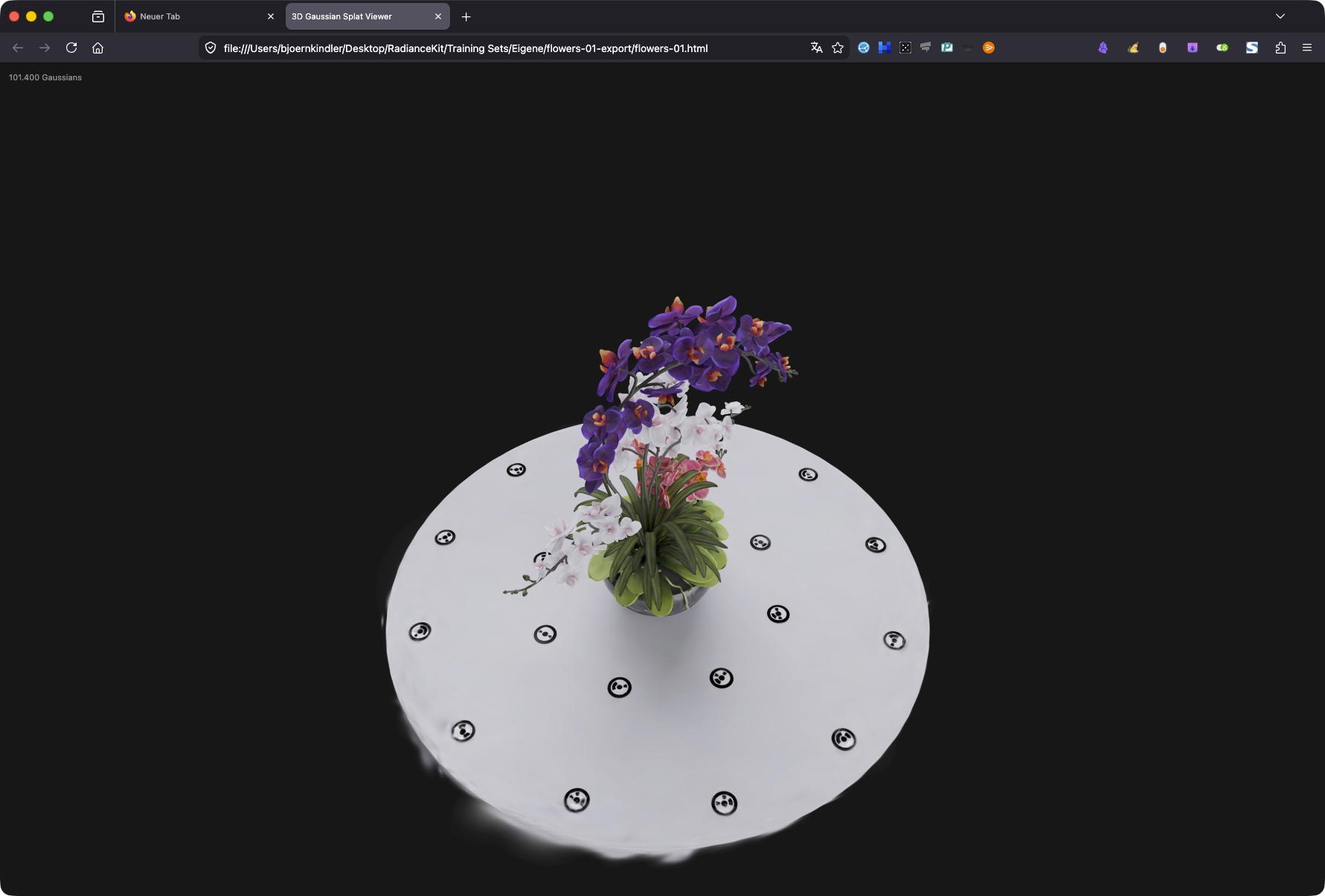 Web Viewer opened in Firefox — Björn's Bouquet splat rendered with surrounding camera marker spheres, browser tab bar visible at top, no CDN/server setup required