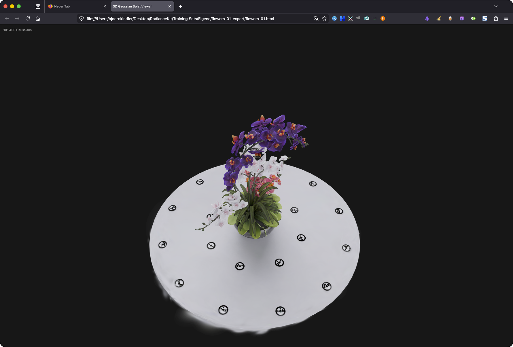 Web Viewer opened in Firefox — Bjoern's bouquet splat rendered with surrounding camera marker spheres, browser tab bar visible on top, no CDN/server setup needed