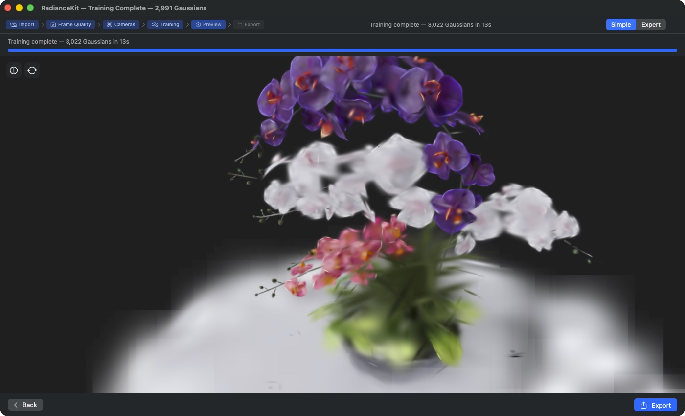 Z3 Preview after training completion — Bjoern's Blender bouquet reconstructed, header shows „Training complete — 3,022 Gaussians in 13s”, Back and Export buttons below